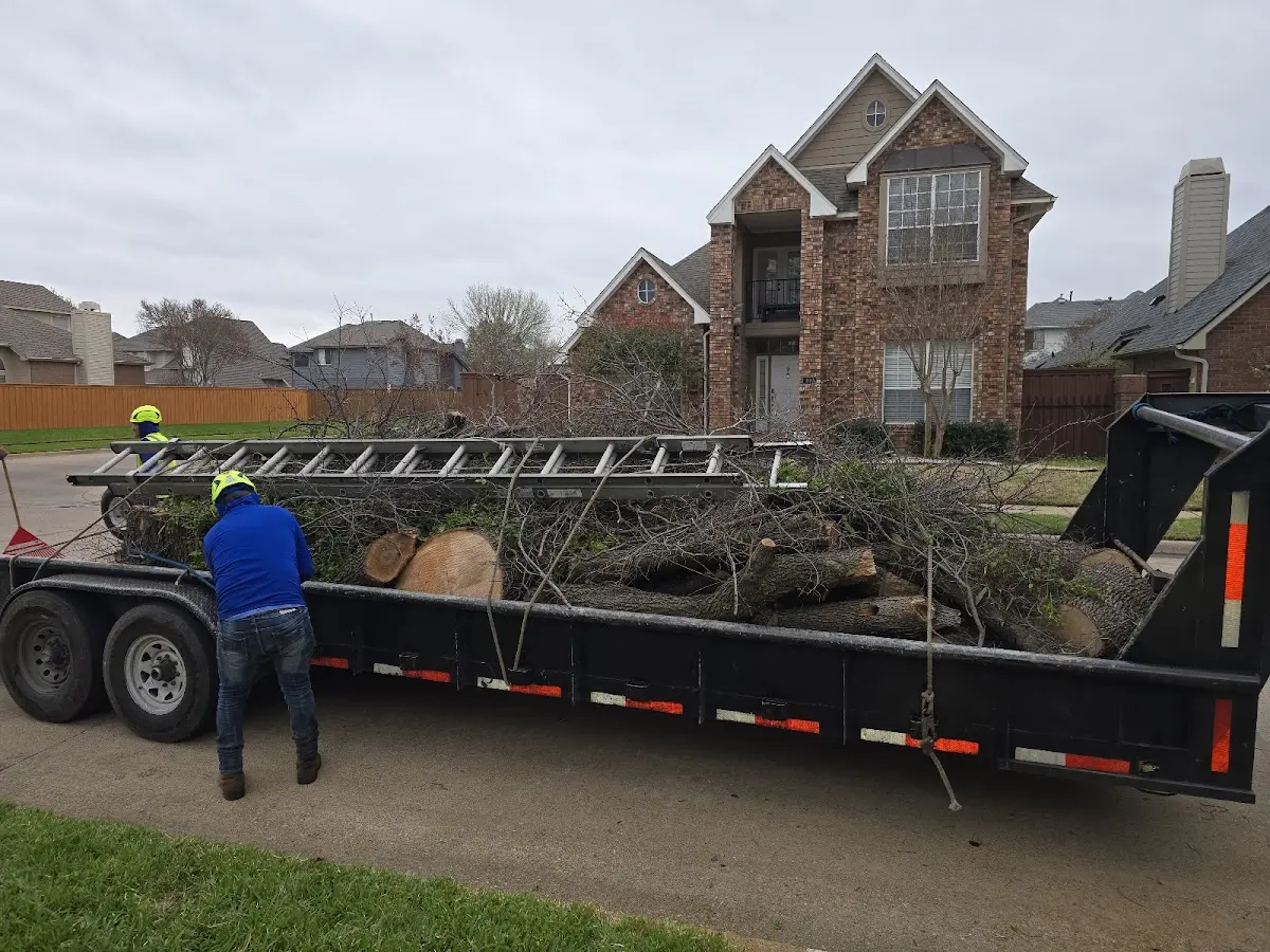 Expert Tree Fertilization with proper safety equipment in Fort Bidwell